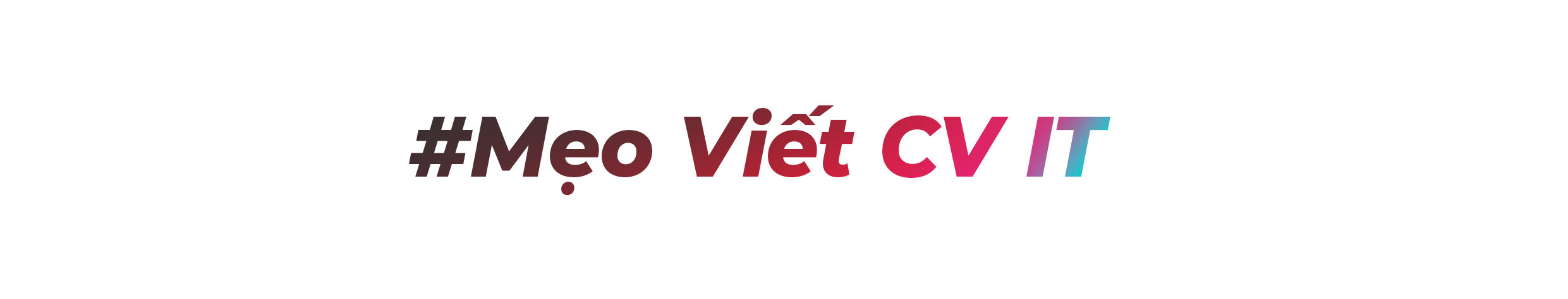 huong-dan-viet-cv-it-2023