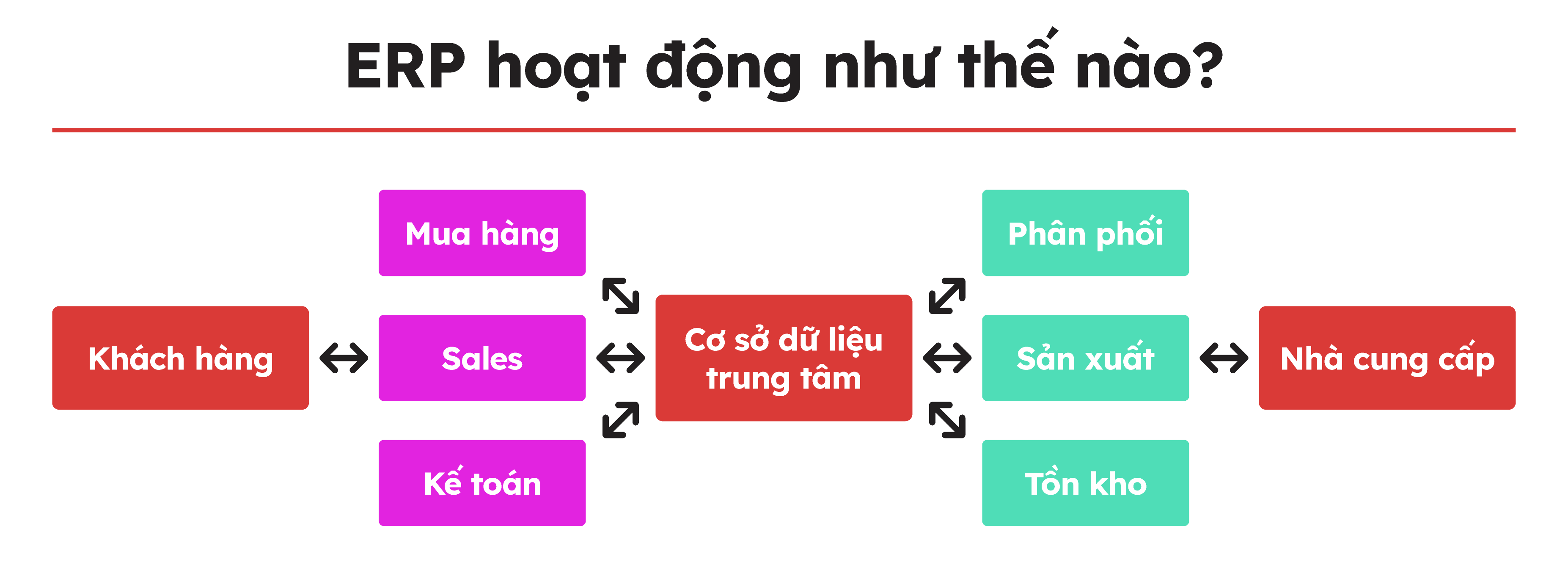 erp là gì - erp hoạt động như thế nào - itviec blog