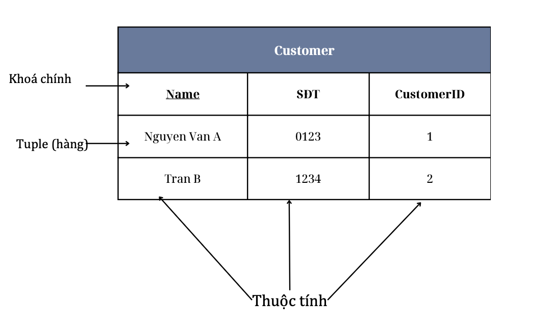 mô hình dữ liệu là gì - itviec blog