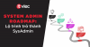 System Admin roadmap: Lộ trình đầy đủ để trở thành SysAdmin - ITviec Blog