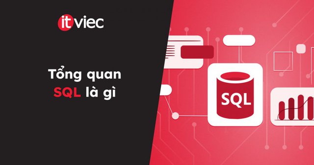 sql database - itviec blog