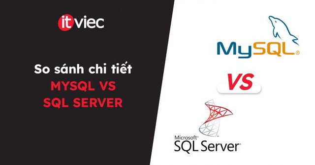 mysql vs sql server - itviec blog