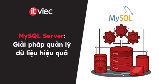 MySQL Server - itviec blog