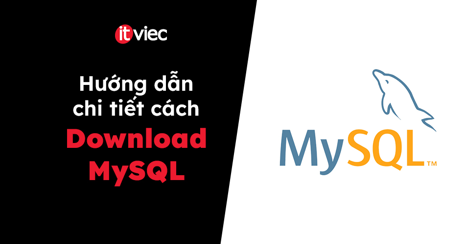 mysql download - itviec blog