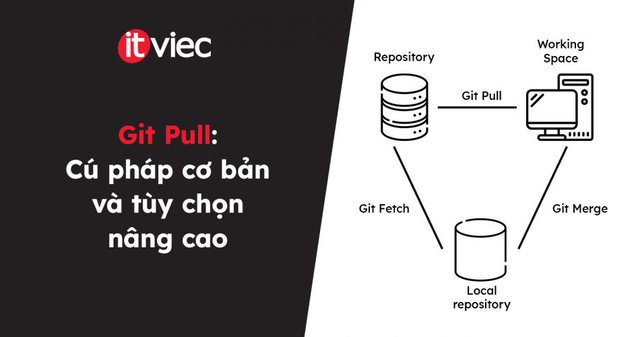 Git Pull - itviec blog