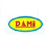 DaMi Software Solution Vietnam Big Logo