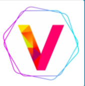 Vsmall Vietnam Big Logo