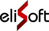 Elisoft Vietnam Big Logo