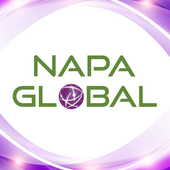 Napa Global Vietnam Big Logo