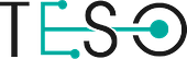 TESO Vietnam Big Logo