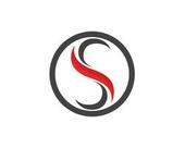 V3SI Vietnam Big Logo