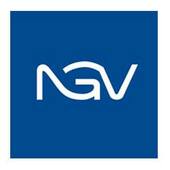 NGV GROUP Vietnam Big Logo