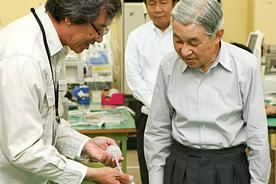 A visit by Emperor Akihito and Empress Michiko (Japan)