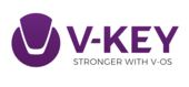 V-KEY Pte. Vietnam Big Logo
