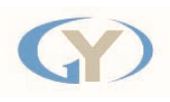 GOYOUNG CORP. Vietnam Big Logo