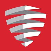 247 Holdings Vietnam Big Logo