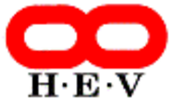 Hayakawa Electronics Vietnam Vietnam Big Logo
