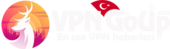 FesVPN Vietnam Big Logo