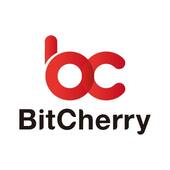 BitCherry Vietnam Big Logo
