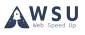 WSU Vietnam Big Logo