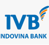 Indovina Bank Vietnam Big Logo