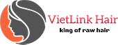 VietLink Hair Vietnam Big Logo