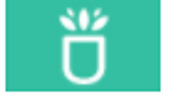 Succulents Box Vietnam Big Logo