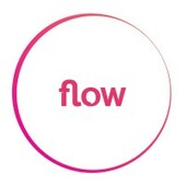 Flow Networks  Vietnam Big Logo