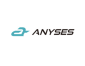 AnySES Vietnam Big Logo