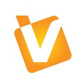 Valofe Vietnam Big Logo