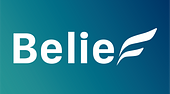 Công ty Cổ phần Belie Vietnam Big Logo