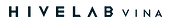 Hivelabvina Vietnam Big Logo
