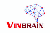 VINBRAIN Vietnam Big Logo