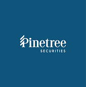 Pinetree Securities Vietnam Big Logo