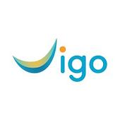 Vigo Retail Vietnam Big Logo