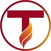 Tinasoft Vietnam Big Logo