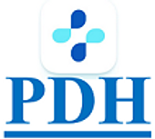PDH Information Technology Vietnam Big Logo