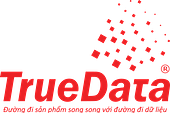 TRUEDATA JSC Vietnam Big Logo