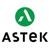 Astek Vietnam Vietnam Big Logo