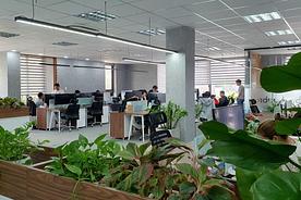 Office area