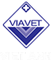 CÔNG TY CP ĐẦU TƯ LIÊN DOANH VIỆT ANH Vietnam Big Logo