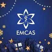 Công Ty Cổ Phần Bệnh Viện EMCAS Vietnam Big Logo