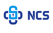 Công ty CP An ninh mạng Quốc gia Việt Nam Vietnam Big Logo