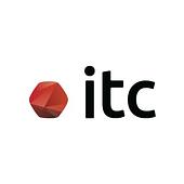 IT Consultis Vietnam Big Logo