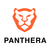 Panthera Studio Vietnam Big Logo