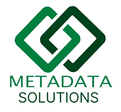 METADATA SOLUTIONS Vietnam Big Logo