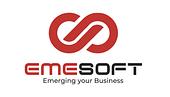 EMESOFT Vietnam Big Logo