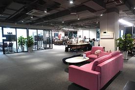 Fostering productivity in an eco-friendly workspace.