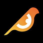 Birdeye.so Vietnam Big Logo
