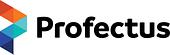 Profectus Group Vietnam Big Logo